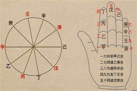 坐基是什麼|八字坐基是什麼意思 